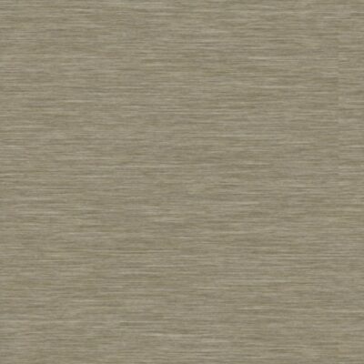 Tarkett iD Inspiration Loose-lay Delicate Wood 24640012 Grey